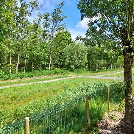 Wellnesshuis Met Hottub, Ligbad En Grote Tuin Villa Tzummarum Dış mekan fotoğraf